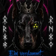 kryn-xtn