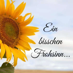 Ein bisschen Frohsinn...